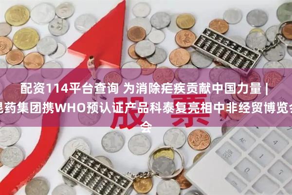配资114平台查询 为消除疟疾贡献中国力量 | 昆药集团携WHO预认证产品科泰复亮相中非经贸博览会